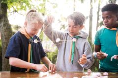 Scouts